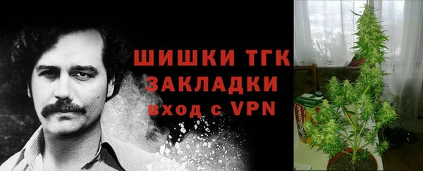 винт Ладушкин