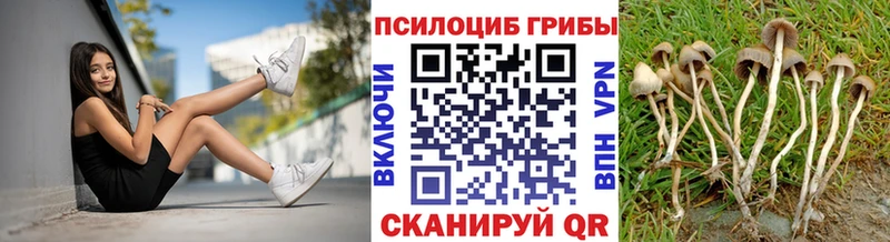Галлюциногенные грибы Cubensis Каспийск