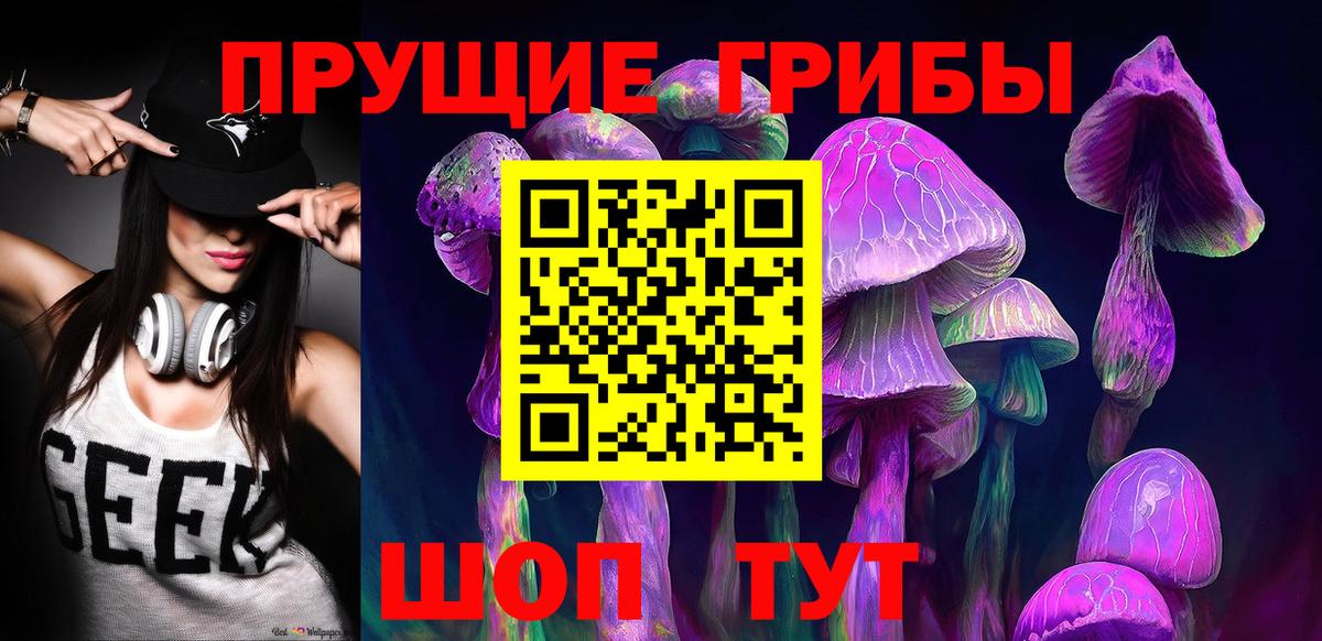 Псилоцибиновые грибы Cubensis Каспийск