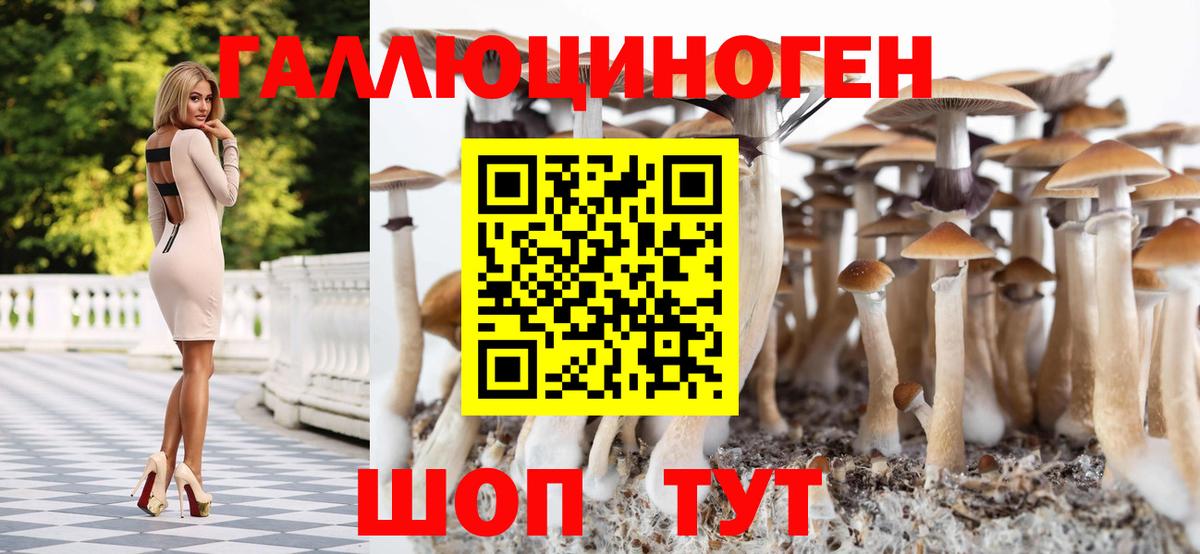 Каспийск  Псилоцибиновые грибы Cubensis  Псилоцибиновые грибы Psilocybine cubensis  Вход с VPN 
